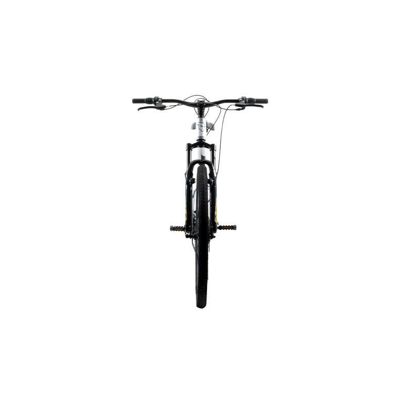 Bicicleta Ghost Scrow Rodada 29 Plata De Montaña