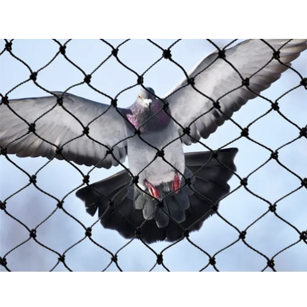 Malla Antipajaro Color Negro 5 Mts de Ancho x 5 M