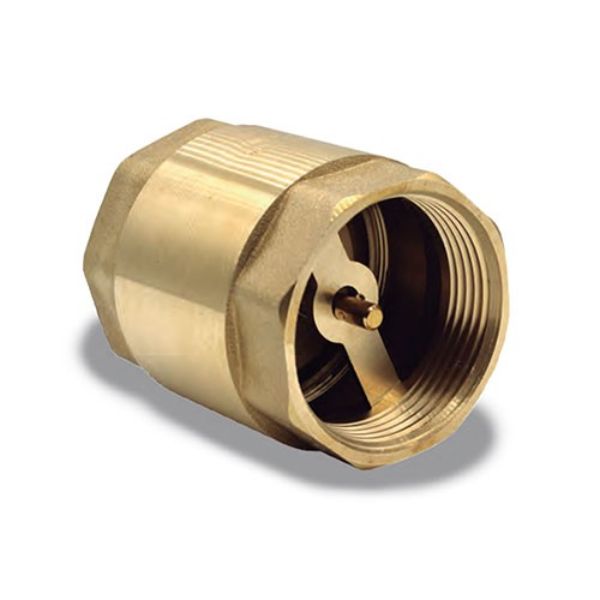 Válvula Check Anti-retorno Tuberías Hasta 3 Npt En Vertical