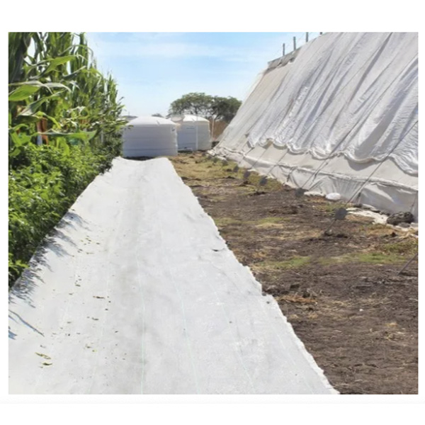 Ground Cover O Malla Antimaleza 2x2 Mts Material Nacional Color Blanco