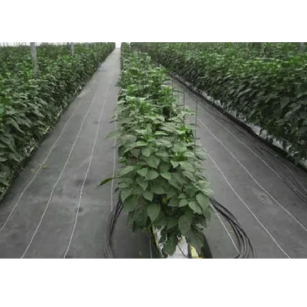 Ground Cover O Malla Antimaleza 4x3 Mts Material Nacional Color Negro