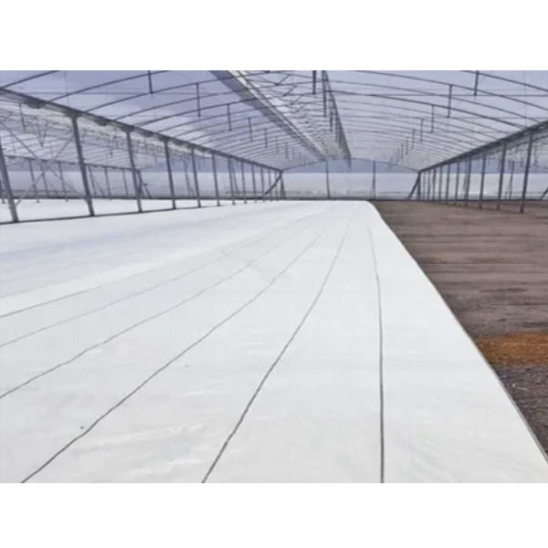 Ground Cover O Malla Antimaleza 4x40 Mts Material Nacional Color Blanco