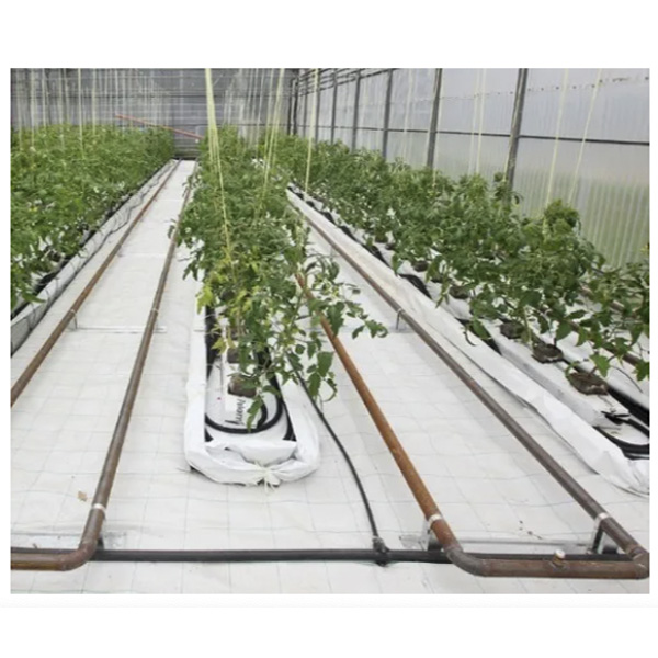 Ground Cover O Malla Antimaleza 4x1 Mts Material Nacional Color Blanco