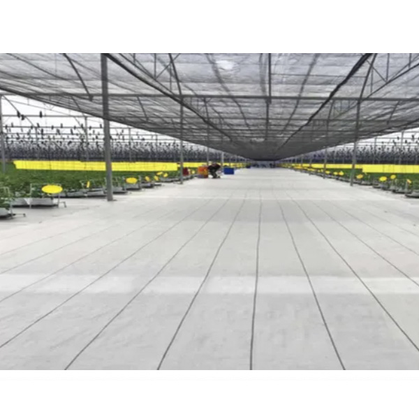 Ground Cover O Malla Antimaleza 4x1 Mts Material Nacional Color Blanco