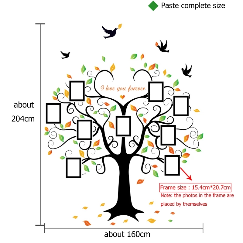 Vinil Decorativo De Interiores Árbol Genealógico Fotográfico
