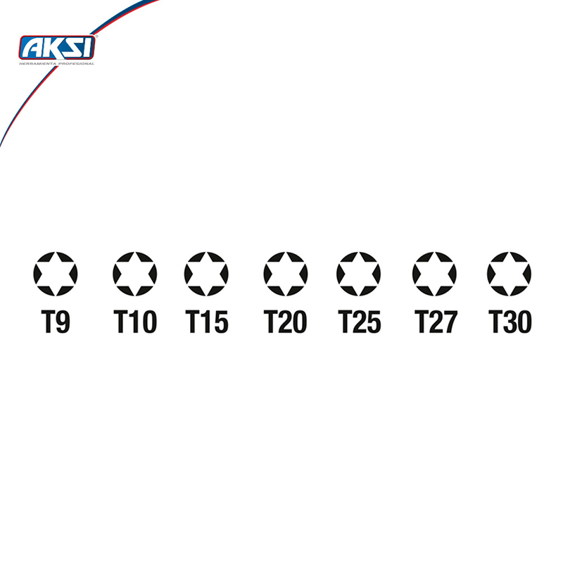 Juego De Puntas Aksi TORKS-7 Piezas