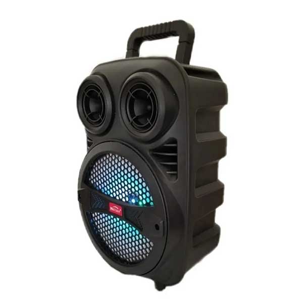 BOCINA BLUETOOTH PORTÁTIL KARAOKE RADIO FM AUX SD LEDS WS219