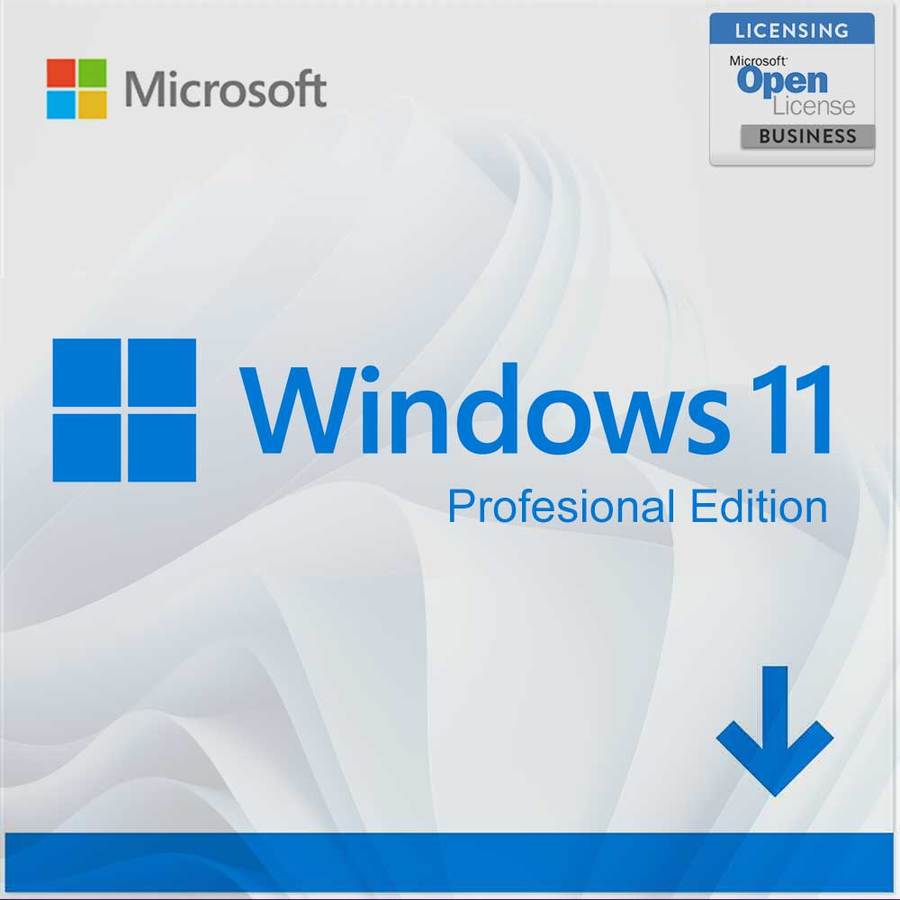 Licencia Windows 11 Professional Digital Facturamos 5341