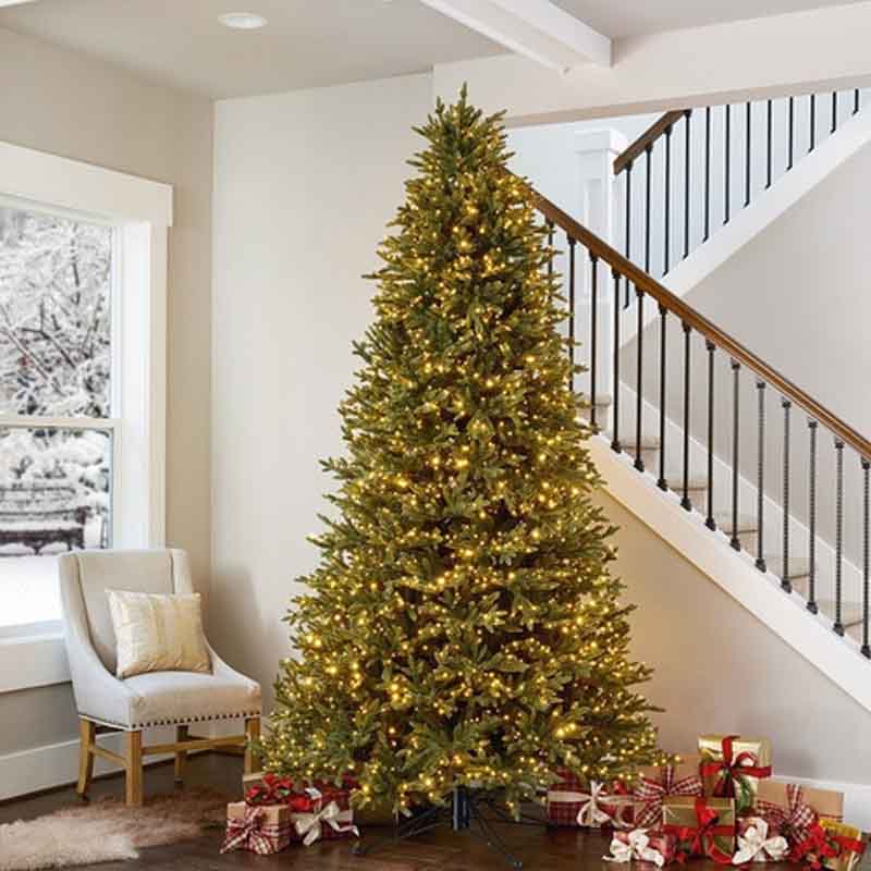 SERIE LUZ LED CALIDA MM: 50 focos