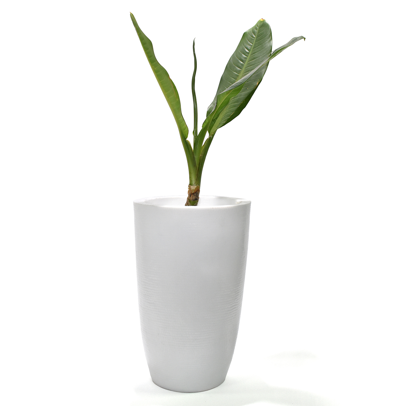 Maceta Minimalista Int/Ext Blanco Base Metal