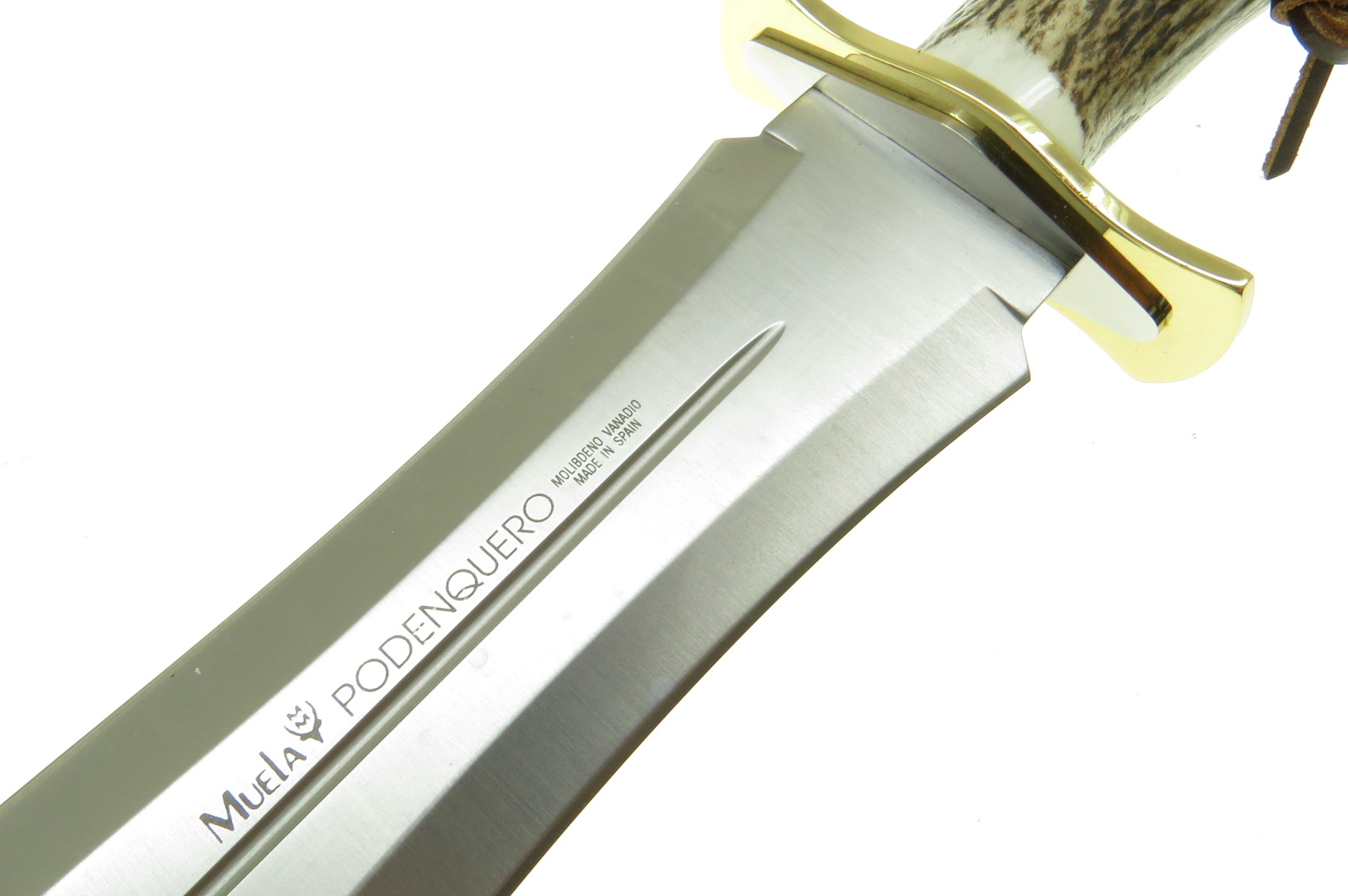 Cipoda Muela Podenquero A Cuchillo Caza Filo Plano Con Fnda