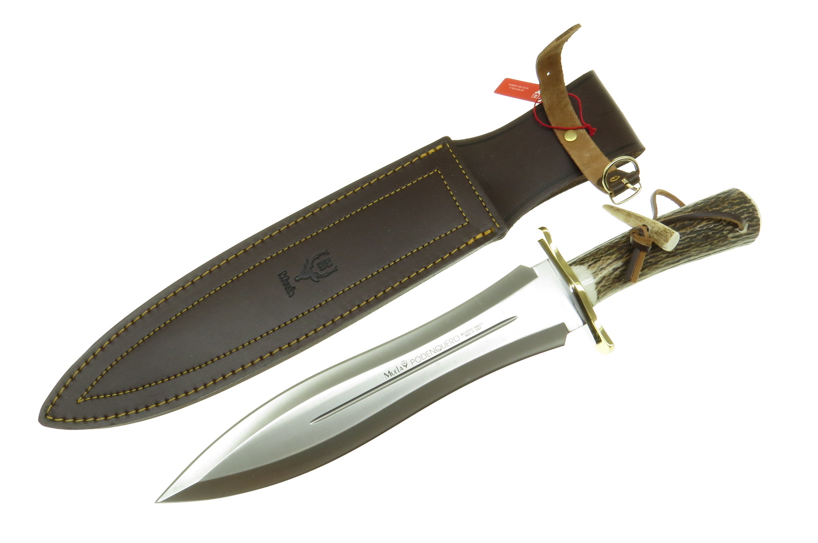 Cipoda Muela Podenquero A Cuchillo Caza Filo Plano Con Fnda