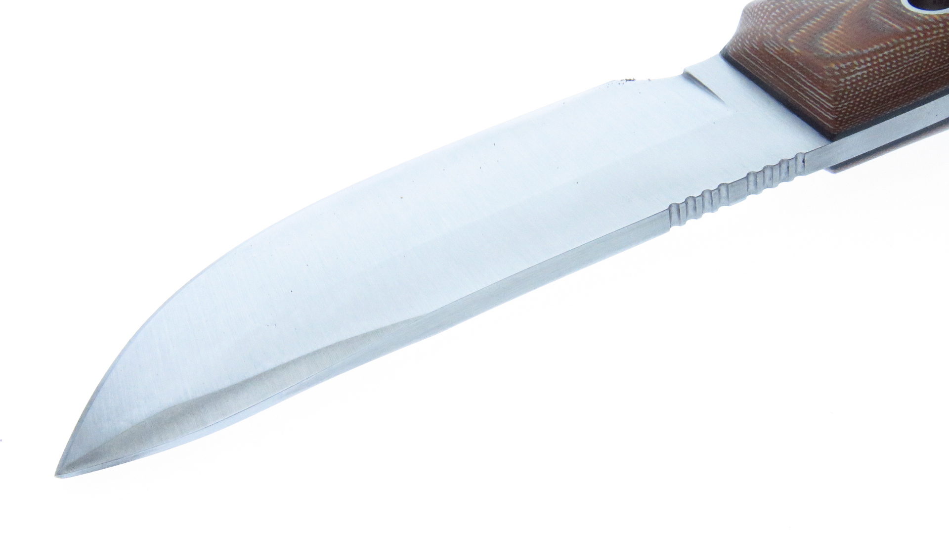 Ciabo12C Muela Aborigen Cuchillo Supervivencia C/Fnda