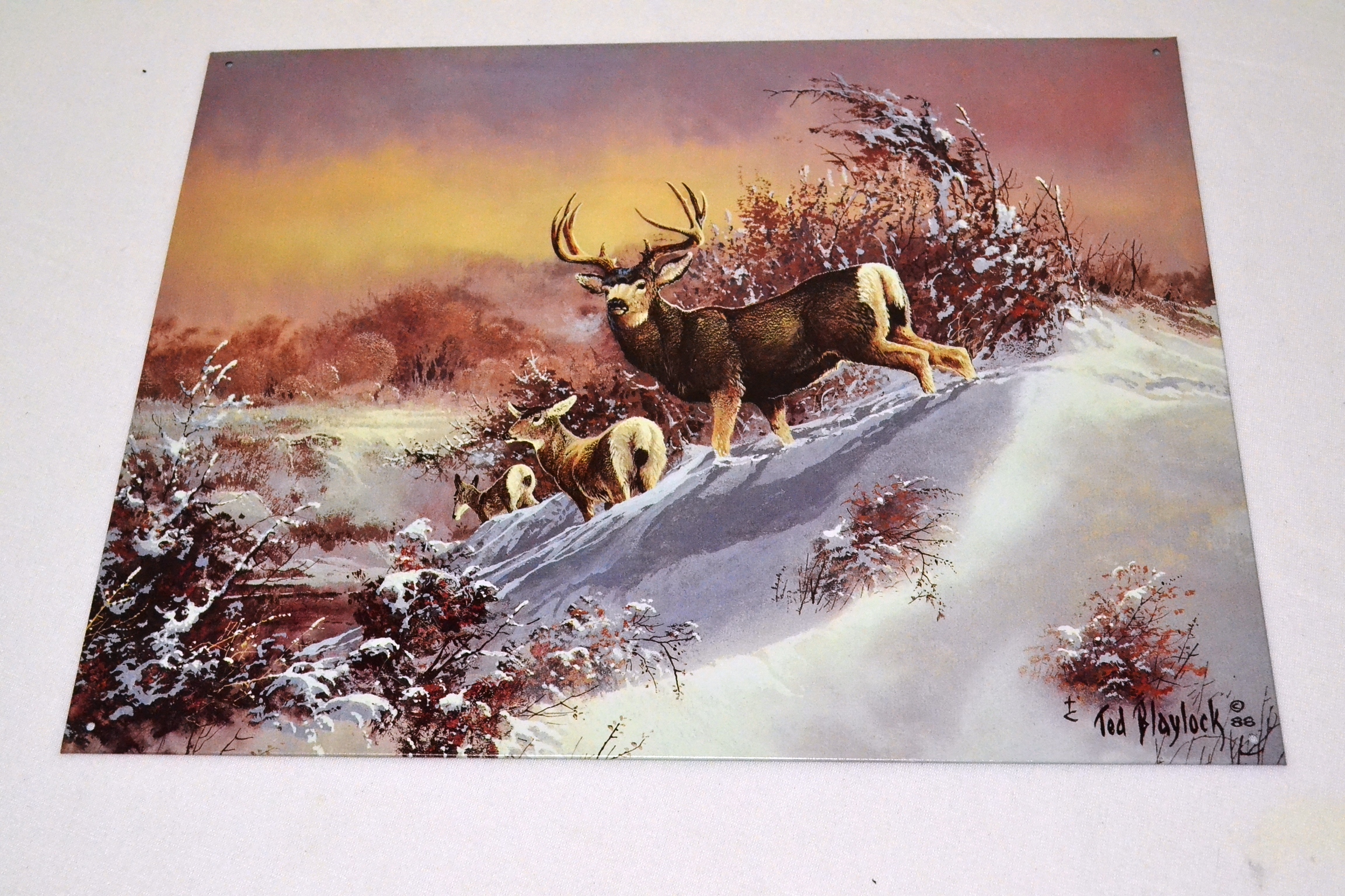 Buck Letrero Tsn1034 Letrero Lamina Decorativa Buck On The Snow