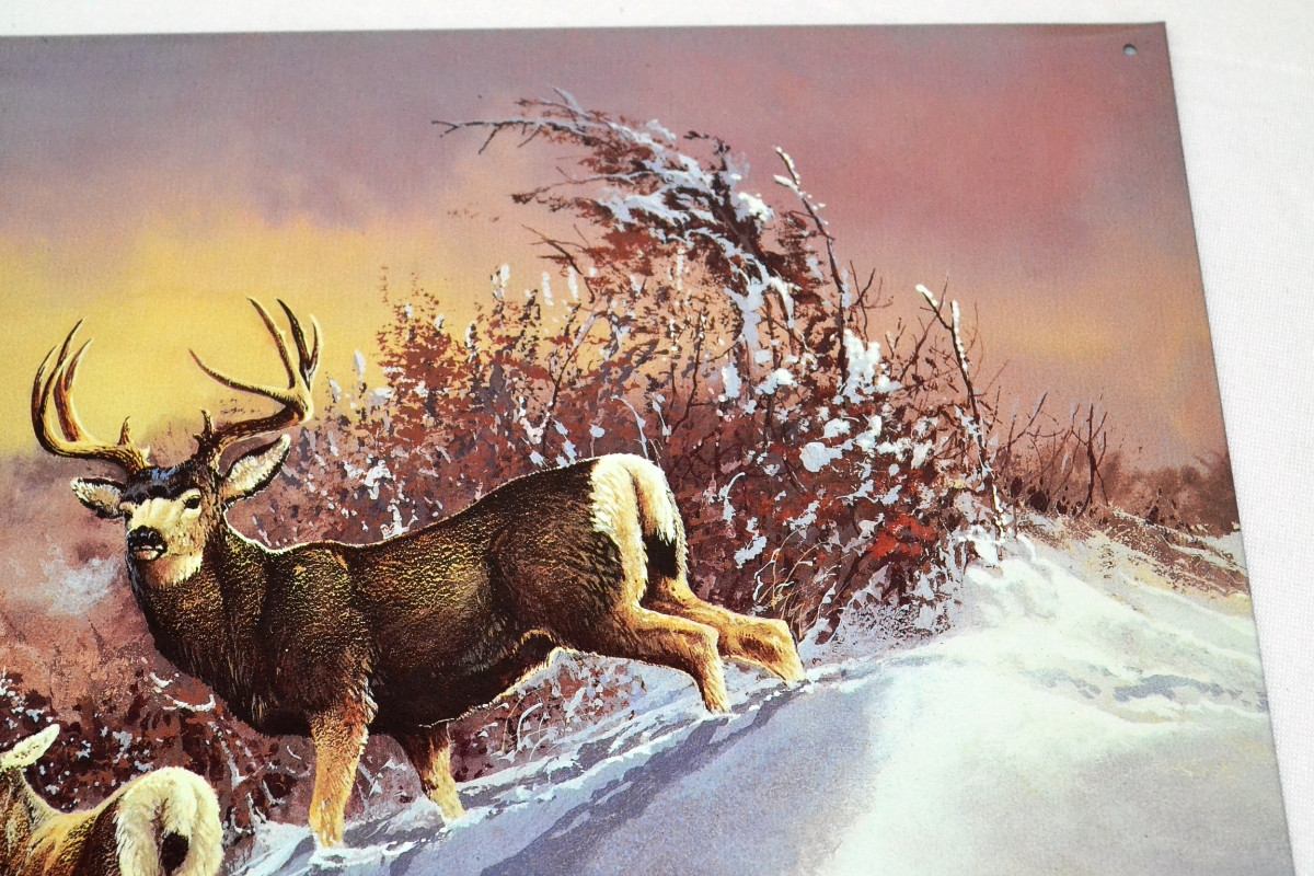 Buck Letrero Tsn1034 Letrero Lamina Decorativa Buck On The Snow