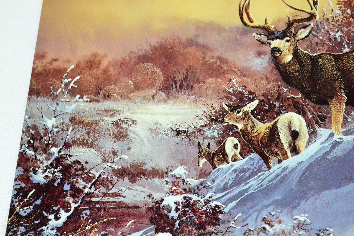 Buck Letrero Tsn1034 Letrero Lamina Decorativa Buck On The Snow
