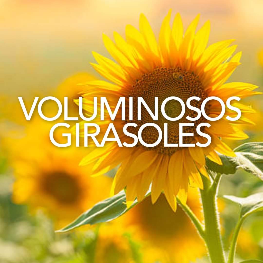 Eau D Aromes Sunshine Agua De Aromas by Jafra