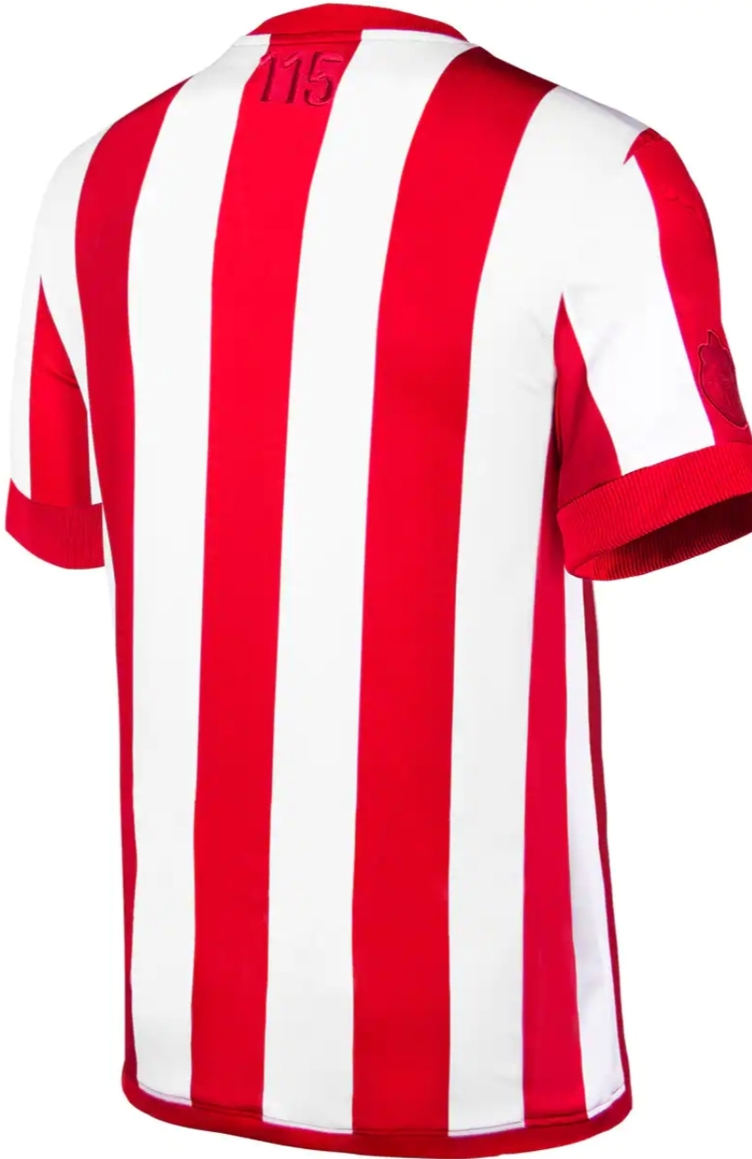 JERSEY CHIVAS ANIV115 AÑOS VERSION AFICIONADO PUMA 763226
