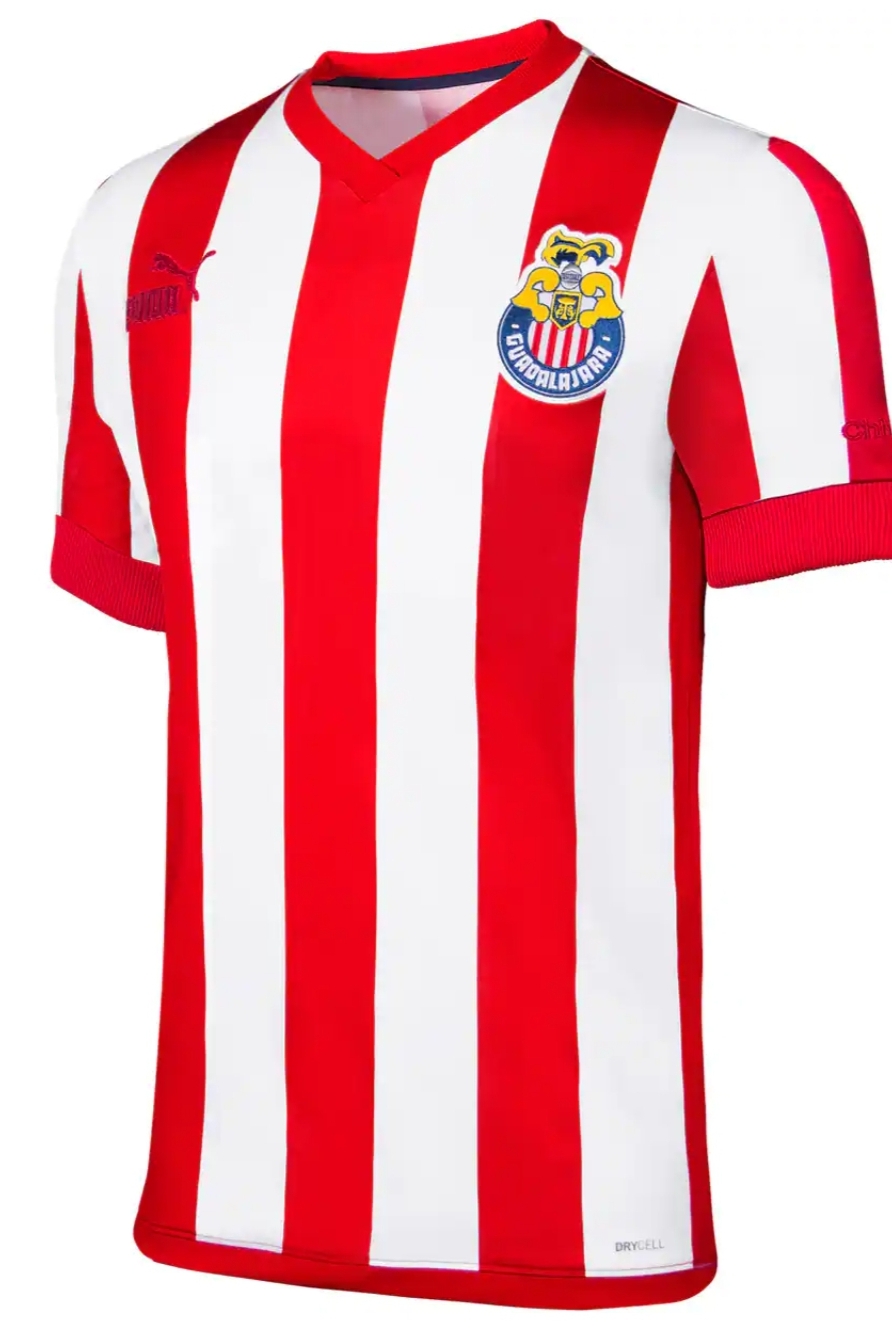 JERSEY CHIVAS ANIV115 AÑOS VERSION AFICIONADO PUMA 763226