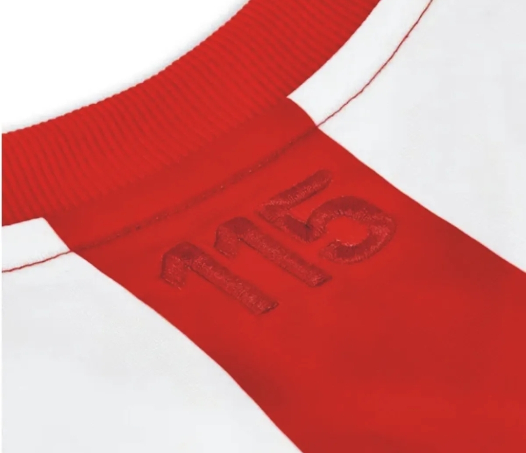 JERSEY CHIVAS ANIV115 AÑOS VERSION AFICIONADO PUMA 763226