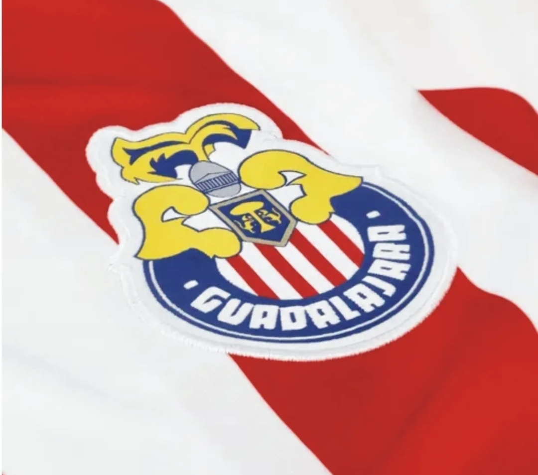JERSEY CHIVAS ANIV115 AÑOS VERSION AFICIONADO PUMA 763226