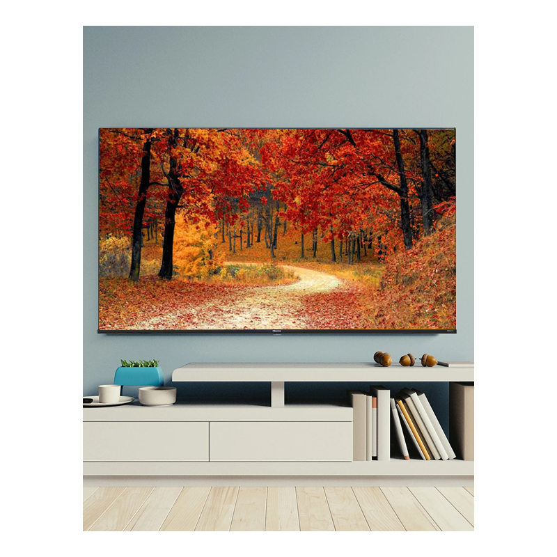 Pantalla Hisense 55P 4K Android TV Negro 55A6G