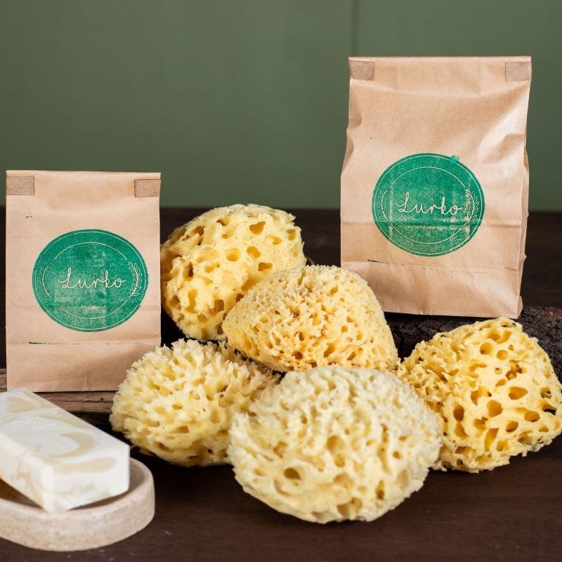 Esponja Natural 100% HONEY COMB Orgánica para Bebé Super Suave del Mar Mediterráneo GRANDE 10 cms