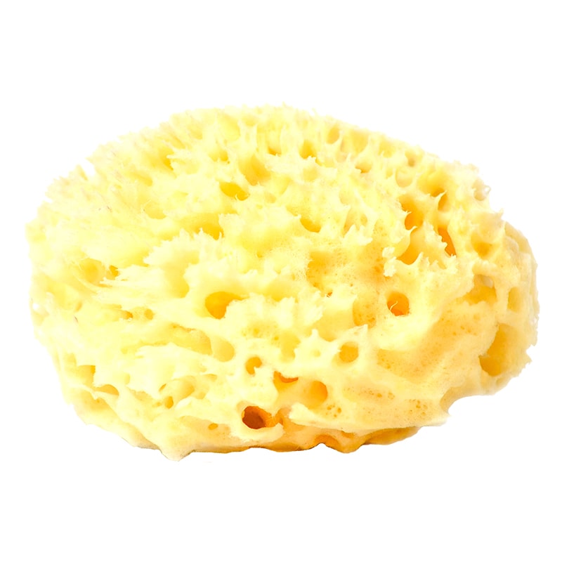 Esponja Natural 100% HONEY COMB Orgánica para Bebé Super Suave del Mar Mediterráneo GRANDE 10 cms