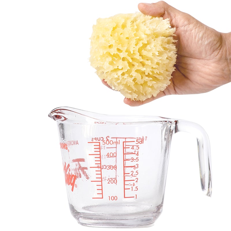 Esponja Natural 100% HONEY COMB Orgánica para Bebé Super Suave del Mar Mediterráneo GRANDE 10 cms