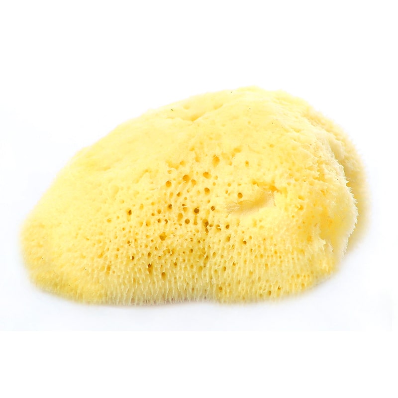 Esponja Natural FINE SILK 100% Orgánica para Bebé y Maquillaje Ultra Suave del Mar Mediterráneo 8cms 