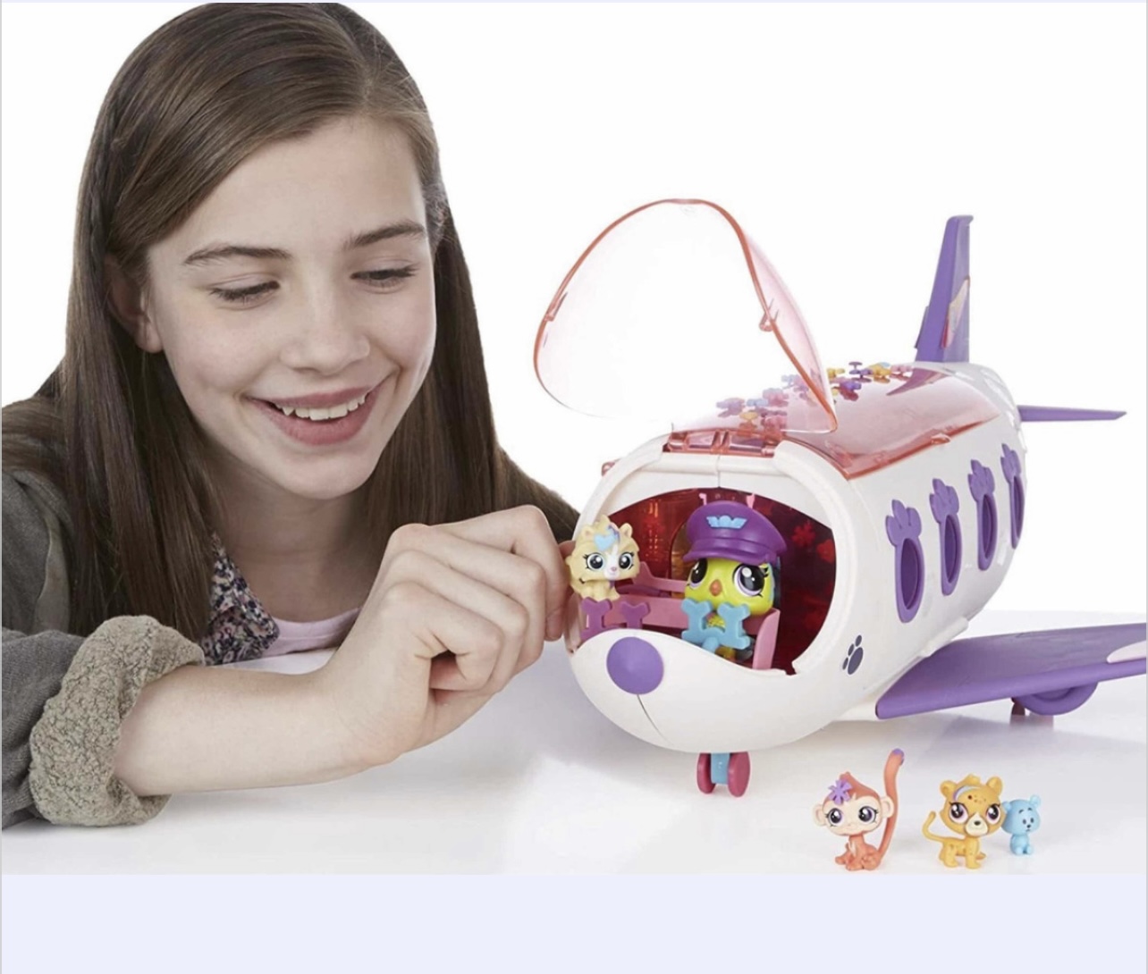 Littlest Pet Shop Pet Jet Playset Hasbro