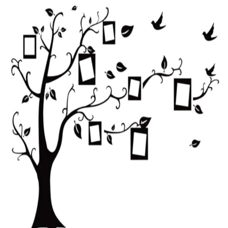 Pegatina Decorativa Arbol Genealógico Pared Fotos Decoracion