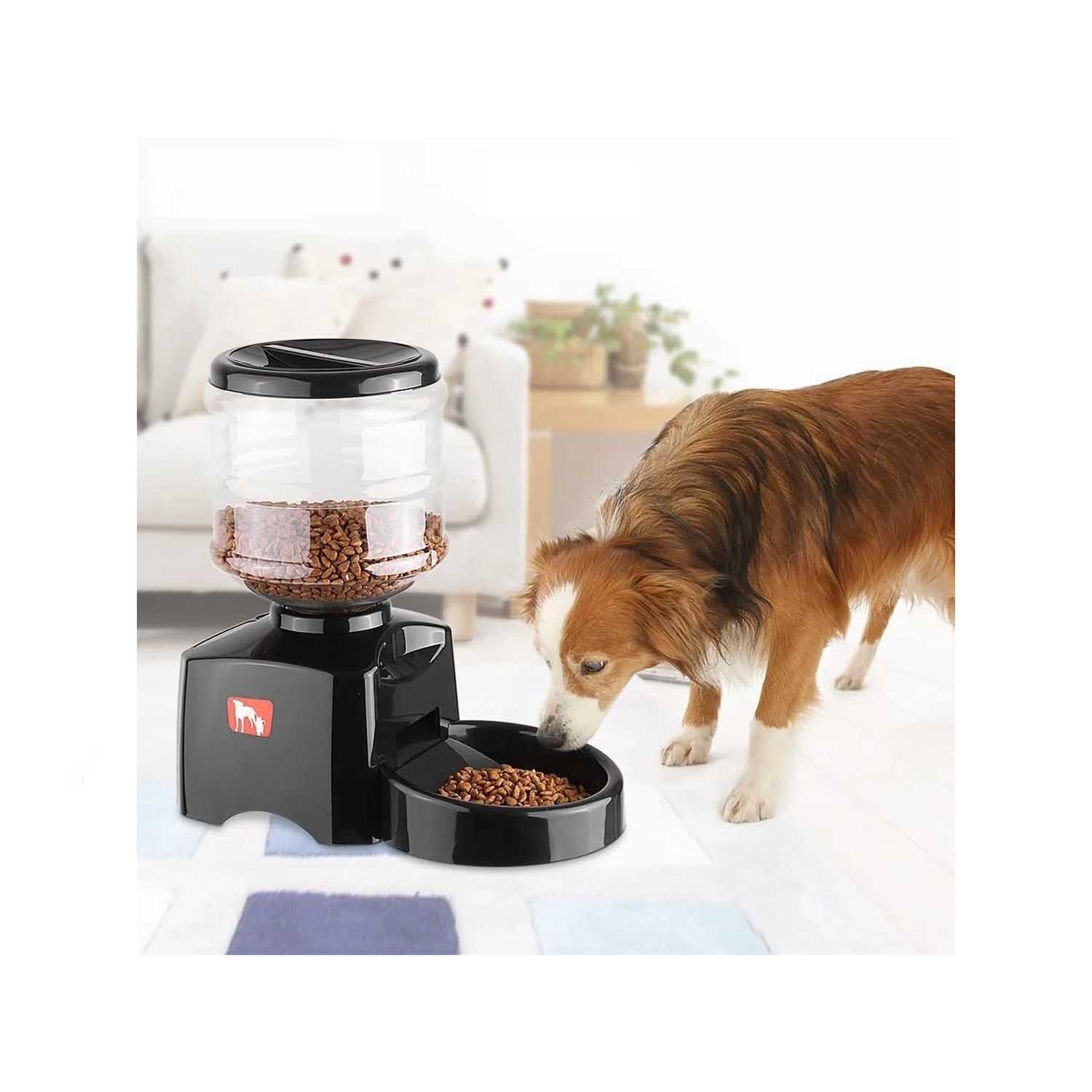 Dispensador de alimento para perros gatos automático programable