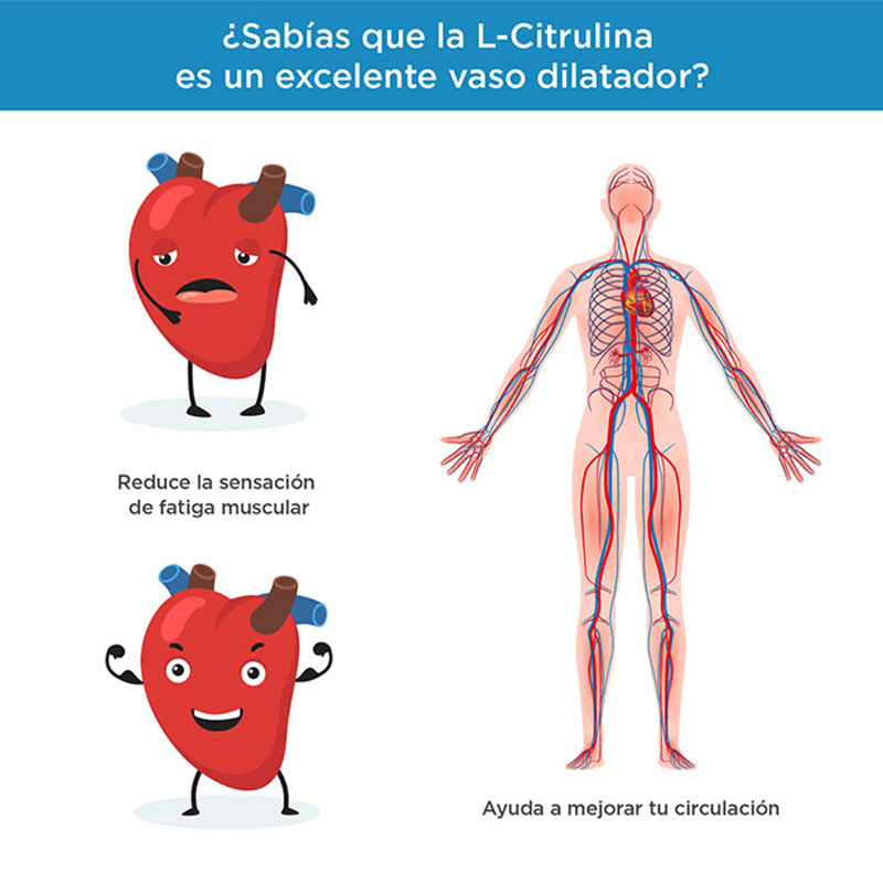 Evolution L-citrulina aminoácido frasco 90 cápsulas