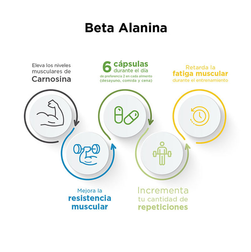 Evolution Beta alanina aminoácido no esencial frasco 180 cápsulas
