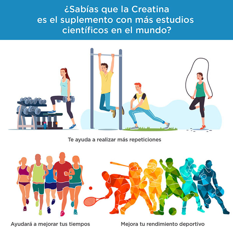 Evolution Monohidrato de creatina de 500 g