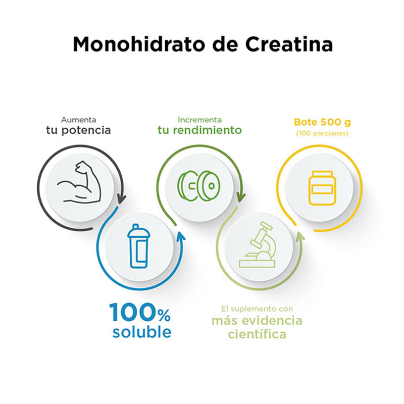 Evolution Monohidrato de creatina de 500 g
