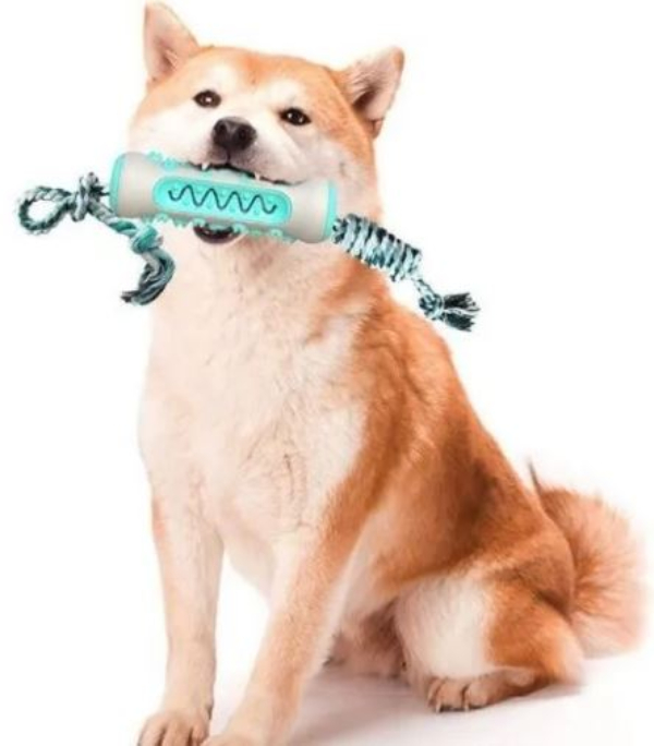 Juguete Para Perro Goma Cepillo De Dientes Hueso Mascota