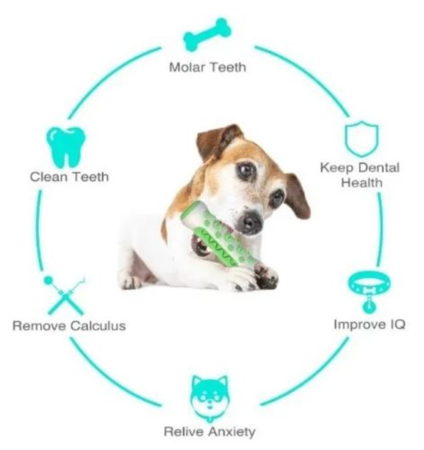 Juguete Para Perro Goma Cepillo De Dientes Hueso Mascota