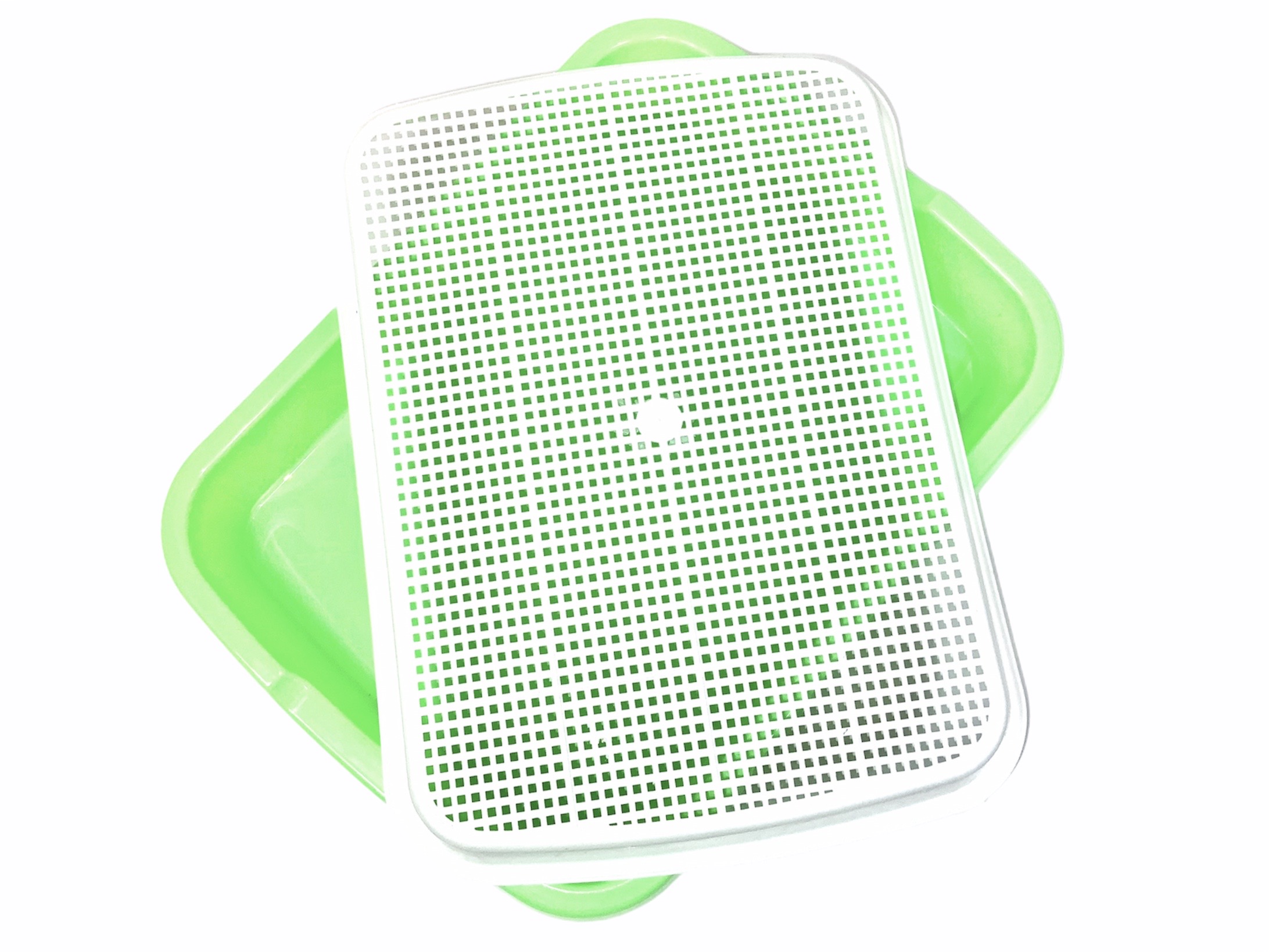 6 Charolas para Cultivo de Germinados Orgánicos Sin Suelo