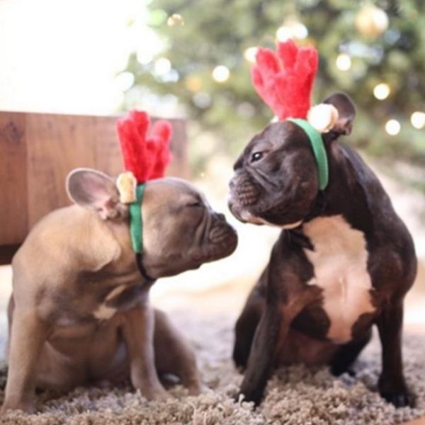 DIADEMA DE RENO PARA MASCOTAS TALLA GRANDE CON BANDA AJUSTABLE DE 25.4 a 33 cms