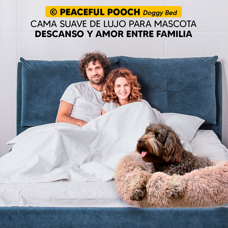 Cama mascotas para perro o gato antideslizante PEACEFULL POOCH Mediana Tv Ofertas única con cierre, para un fácil retiro de funda y lavado, adaptable a todo tipo de clima 