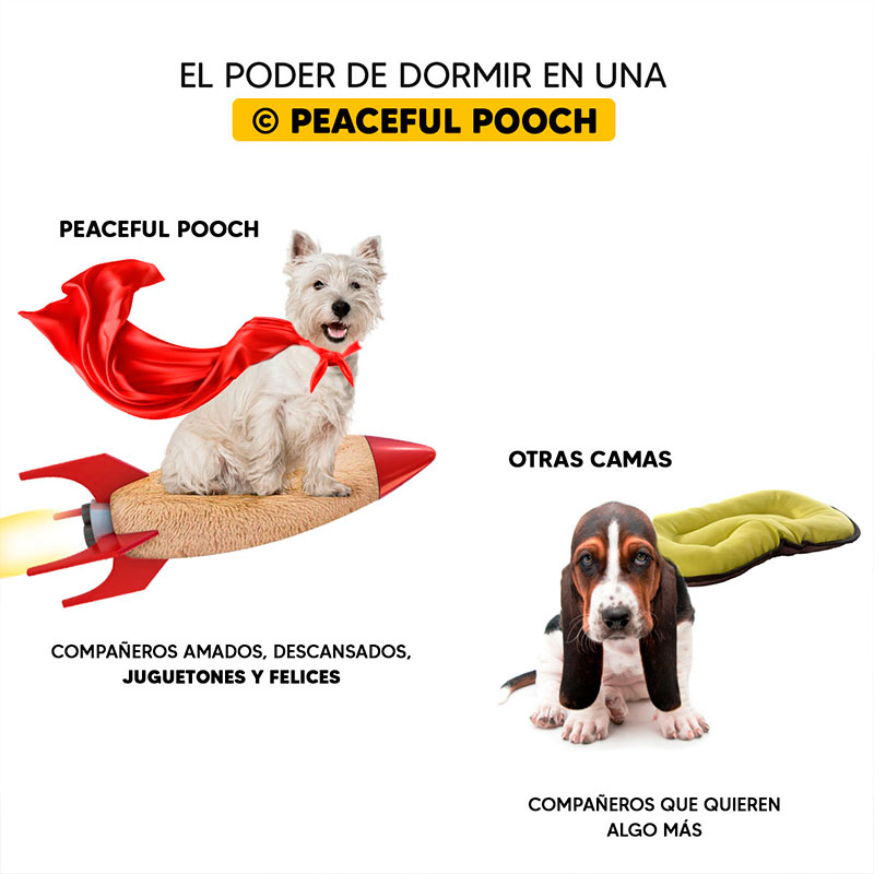 Cama mascotas para perro o gato antideslizante PEACEFULL POOCH Mediana Tv Ofertas única con cierre, para un fácil retiro de funda y lavado, adaptable a todo tipo de clima 