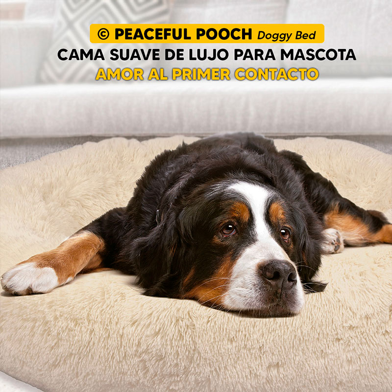 Cama mascotas para perro o gato antideslizante PEACEFULL POOCH Mediana Tv Ofertas única con cierre, para un fácil retiro de funda y lavado, adaptable a todo tipo de clima 