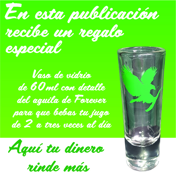 Forever Aloe Vera Gel 4 litros 