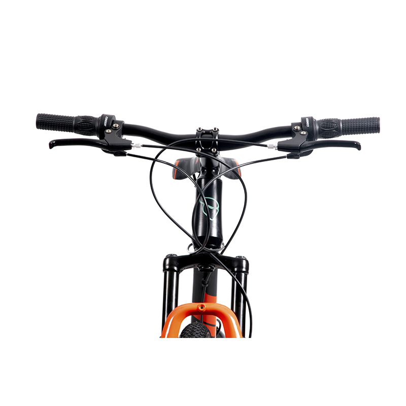 Bicicleta Ghost Row Rodada 29 Negro De Montaña