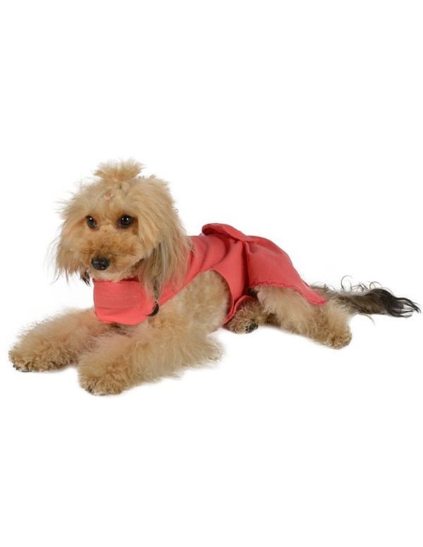 Vestido de Manta con detalle de bordados y un moño estilo mexicano para mascotas color Coral marca El Rebozo de Dolce