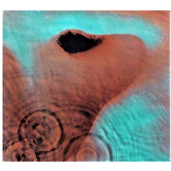 CD Pink Floyd ~ Meddle