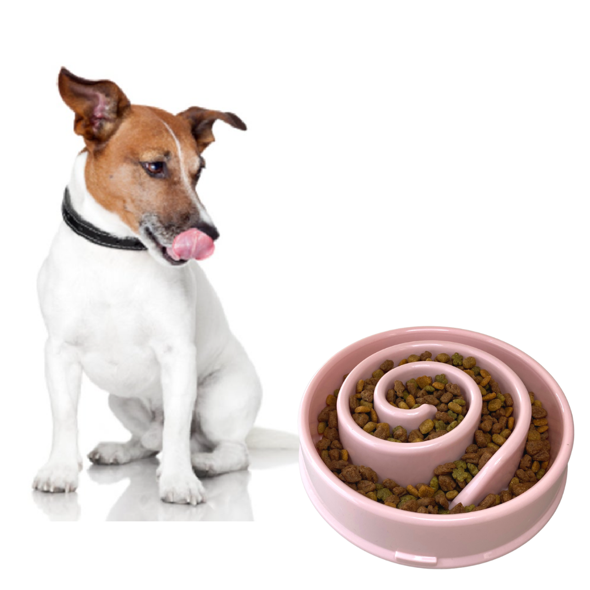 Plato Para Perro Alimentación Lenta Slow Feed