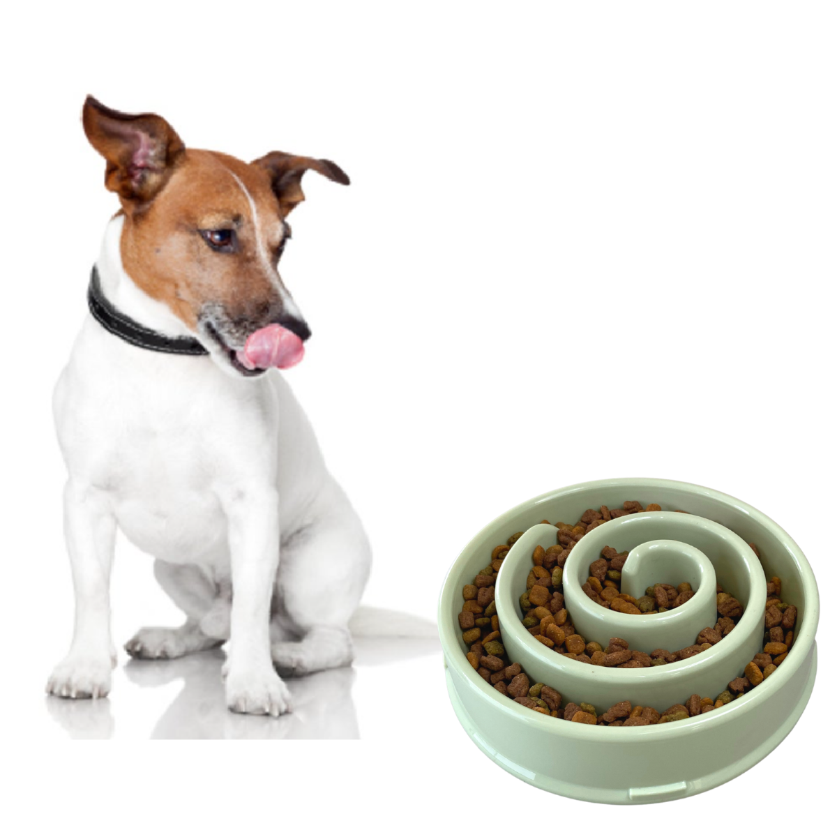 Plato Para Perro Alimentación Lenta Slow Feed